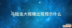 马陆虫大规模出现预示什么