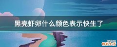 黑壳虾卵什么颜色表示快生了