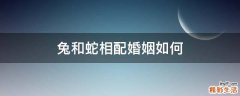 兔和蛇相配婚姻如何