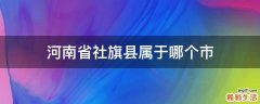 河南省社旗县属于哪个市