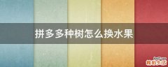 拼多多种树怎么换水果