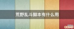 荒野乱斗脚本有什么用
