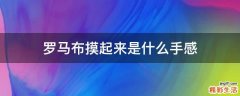 罗马布摸起来是什么手感