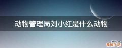 动物管理局刘小红是什么动物