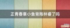 正青春章小鱼背叛林睿了吗