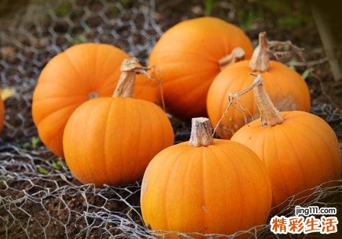吃南瓜可以去水肿吗 吃南瓜会过敏吗