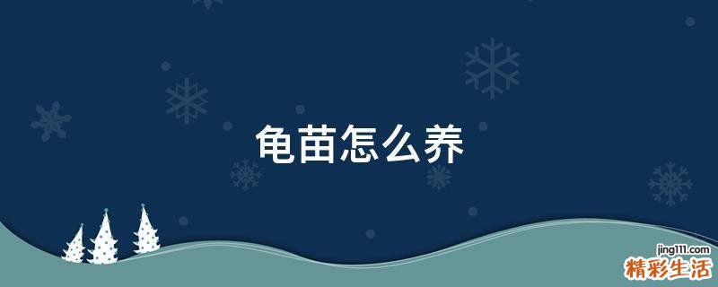龟苗怎么养