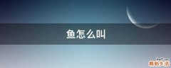 鱼怎么叫