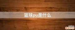 篮球pu是什么