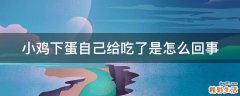 小鸡下蛋自己给吃了是怎么回事