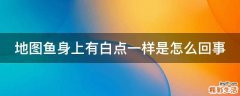 地图鱼身上有白点一样是怎么回事