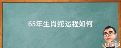 65年生肖蛇运程如何