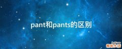 pant和pants的区别