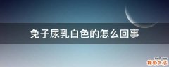 兔子尿乳白色的怎么回事
