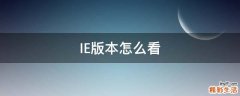 IE版本怎么看