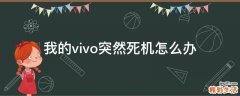 我的vivo突然死机怎么办