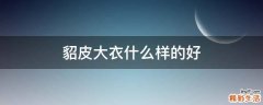 貂皮大衣什么样的好