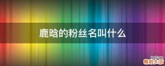 鹿晗的粉丝名叫什么