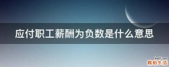 应付职工薪酬为负数是什么意思