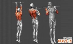 做完引体向上肌肉酸痛 肌肉酸痛的两种情况