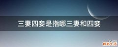三妻四妾是指哪三妻和四妾