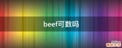 beef可数吗