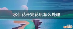 水仙花开完花后怎么处理