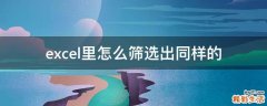 excel里怎么筛选出同样的