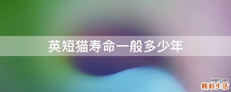 英短猫寿命一般多少年