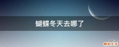 蝴蝶冬天去哪了