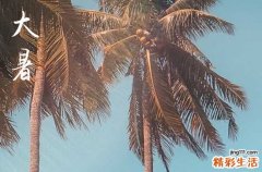 2023大暑是几月几号