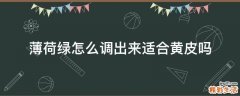 薄荷绿怎么调出来适合黄皮吗