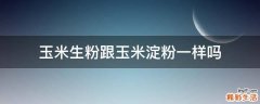 玉米生粉跟玉米淀粉一样吗
