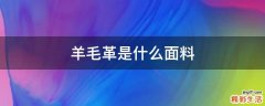 羊毛革是什么面料