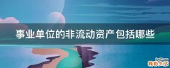 事业单位的非流动资产包括哪些