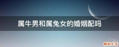 属牛男和属兔女的婚姻配吗