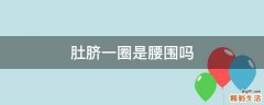 肚脐一圈是腰围吗