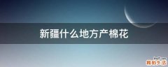 新疆什么地方产棉花