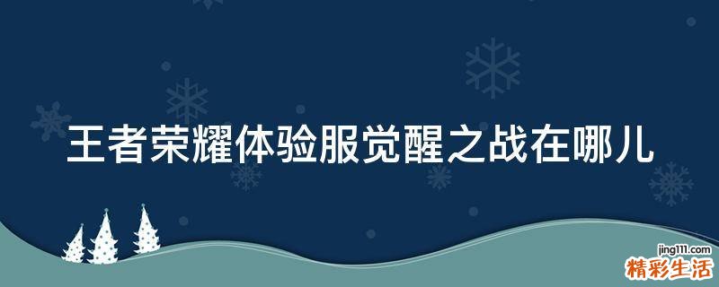 王者荣耀体验服觉醒之战在哪儿