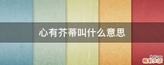 心有芥蒂叫什么意思