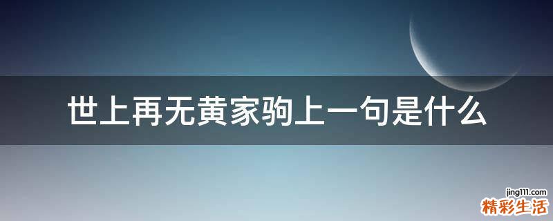 世上再无黄家驹上一句是什么