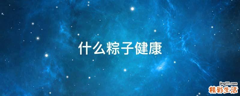 什么粽子健康