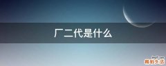 厂二代是什么