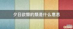 夕日欲颓的颓是什么意思