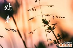 2023处暑节气意味着什么 特点是什么
