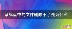 系统盘中的文件删除不了是为什么