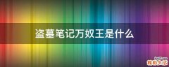 盗墓笔记万奴王是什么