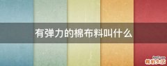 有弹力的棉布料叫什么
