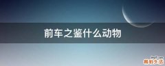 前车之鉴什么动物