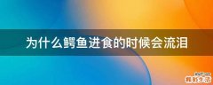 为什么鳄鱼进食的时候会流泪